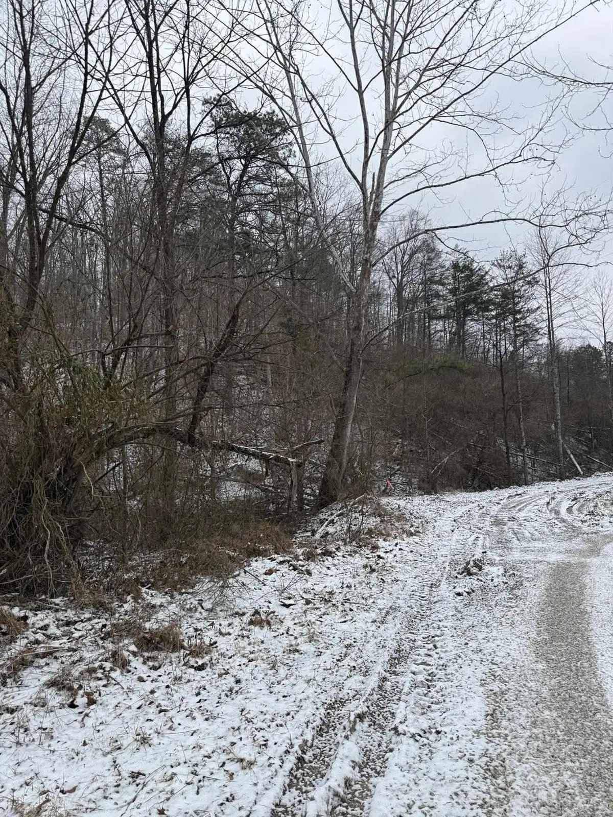 0 Briar Fork Road, Sandy Hook, KY 41171 - #1