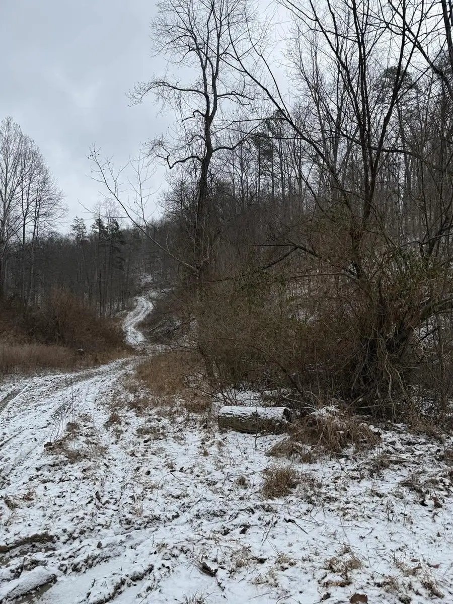 0 Briar Fork Road, Sandy Hook, KY 41171 - #2