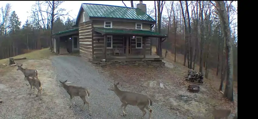 1248 Burke Road, Lawrenceburg, KY 40342 - #3