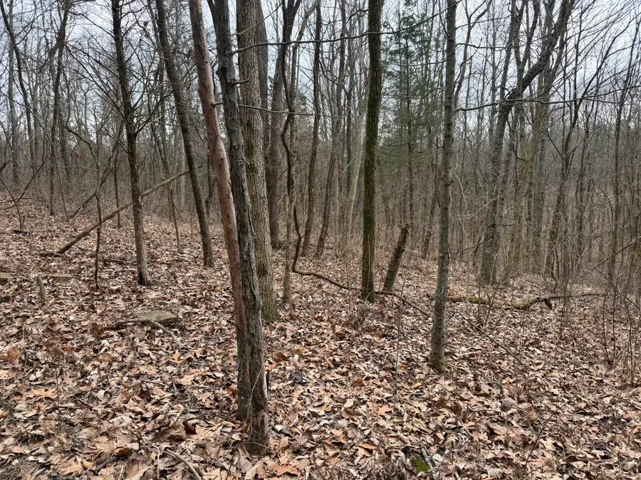 0000 Union Ridge Road, Frankfort, KY 40601 - #2