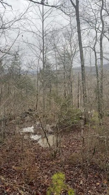 8.7 Wolf Gap Road #8.7, Bronston, KY 42518 - #2