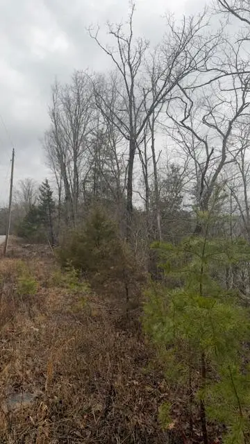 8.7 Wolf Gap Road #8.7, Bronston, KY 42518 - #3