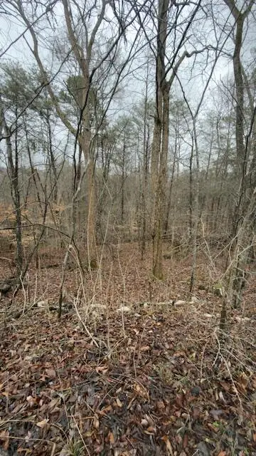 Tract 20 Buck Tail Drive #20, Burnside, KY 42519