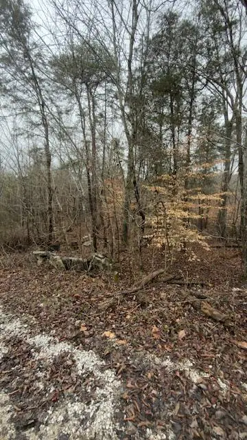 Tract 21 Buck Tail Drive #5.3, Burnside, KY 42519 - #2