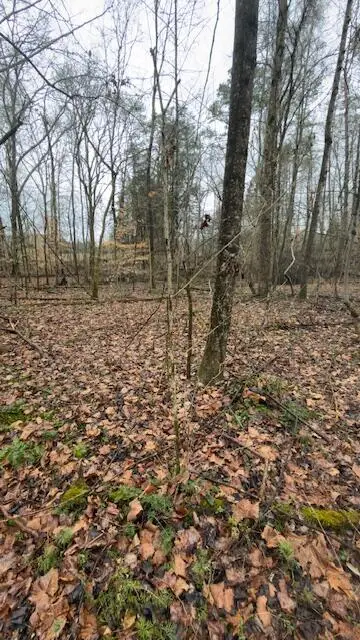 Tract 21 Buck Tail Drive #5.3, Burnside, KY 42519 - #3