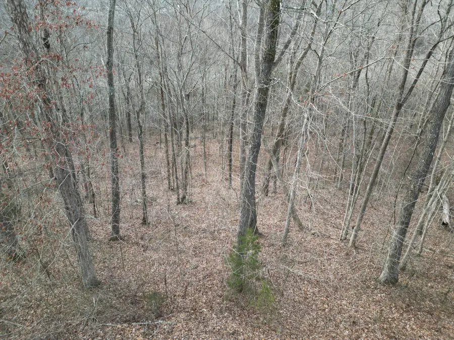 26 Colonel Drive, Burnside, KY 42519 - #3