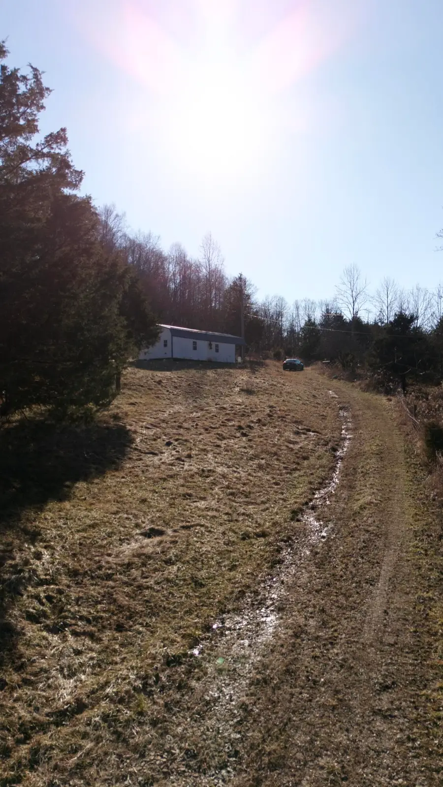 1131 Poplar Flat Road, Tollesboro, KY 41189 - #3