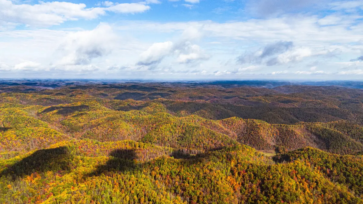 25 Tar Fork Road, Vanceburg, KY 41179 - #1