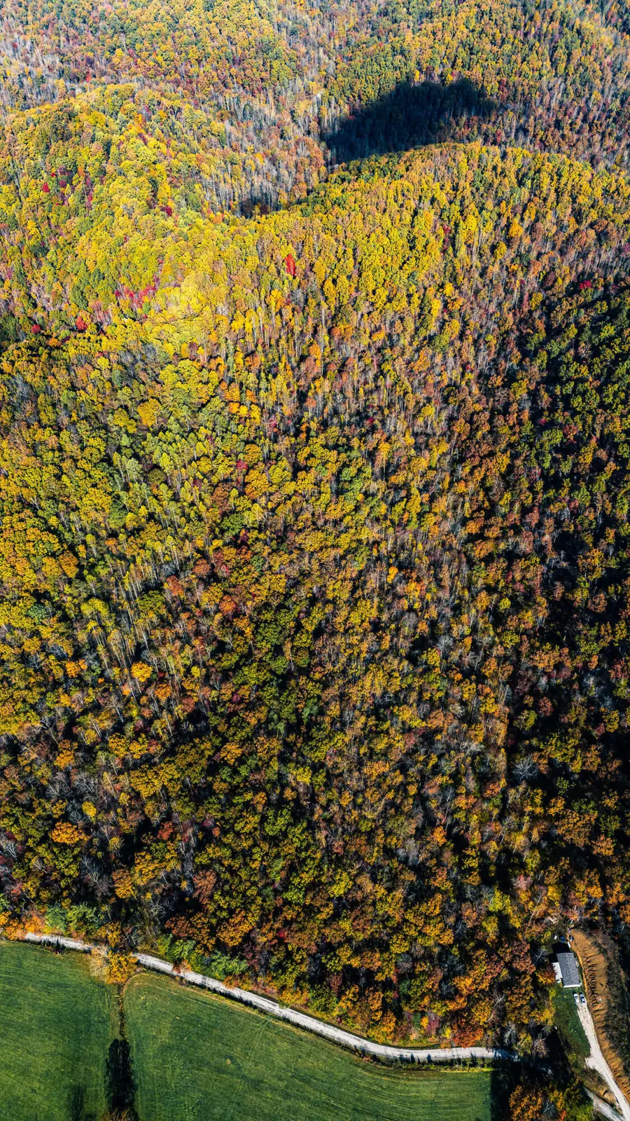 25 Tar Fork Road, Vanceburg, KY 41179 - #2