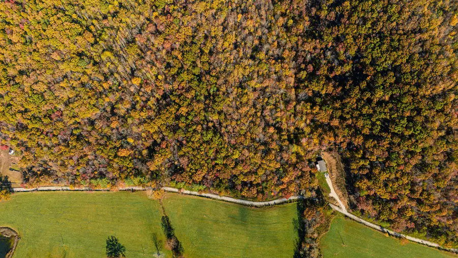 25 Tar Fork Road, Vanceburg, KY 41179 - #3