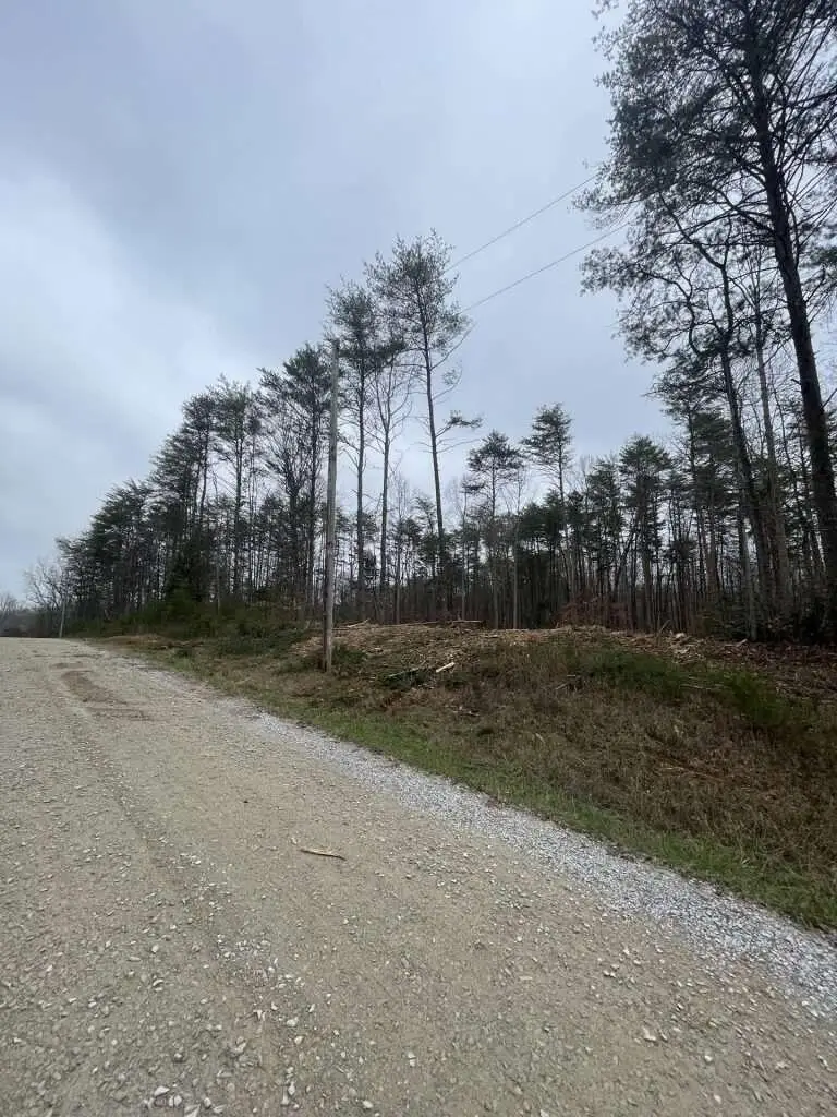 141 Pine Tree Circle, Nancy, KY 42544 - #3