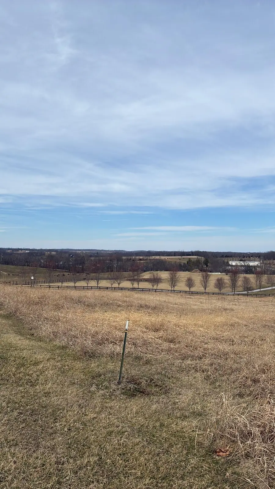 Lot #4  Woodlake Road #Lot 4, Stamping Ground, KY 40379 - #3