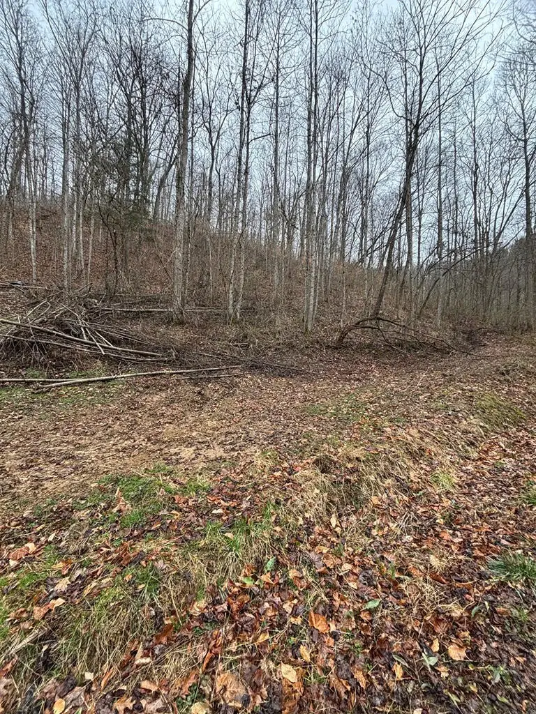 00 Henry's Branch, Langley, KY 41645 - #2