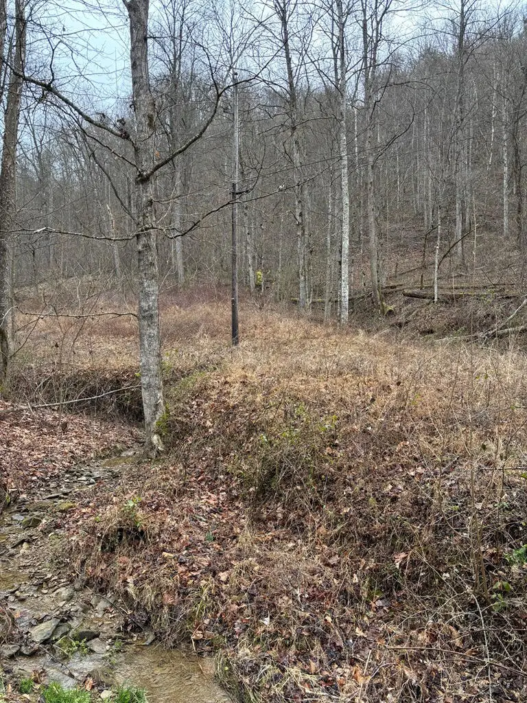 00 Henry's Branch, Langley, KY 41645 - #3