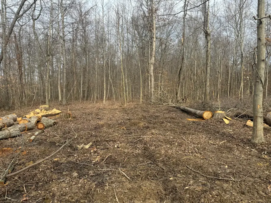 000 Dug Hill Road #Tract 13, Brodhead, KY 40409 - #3