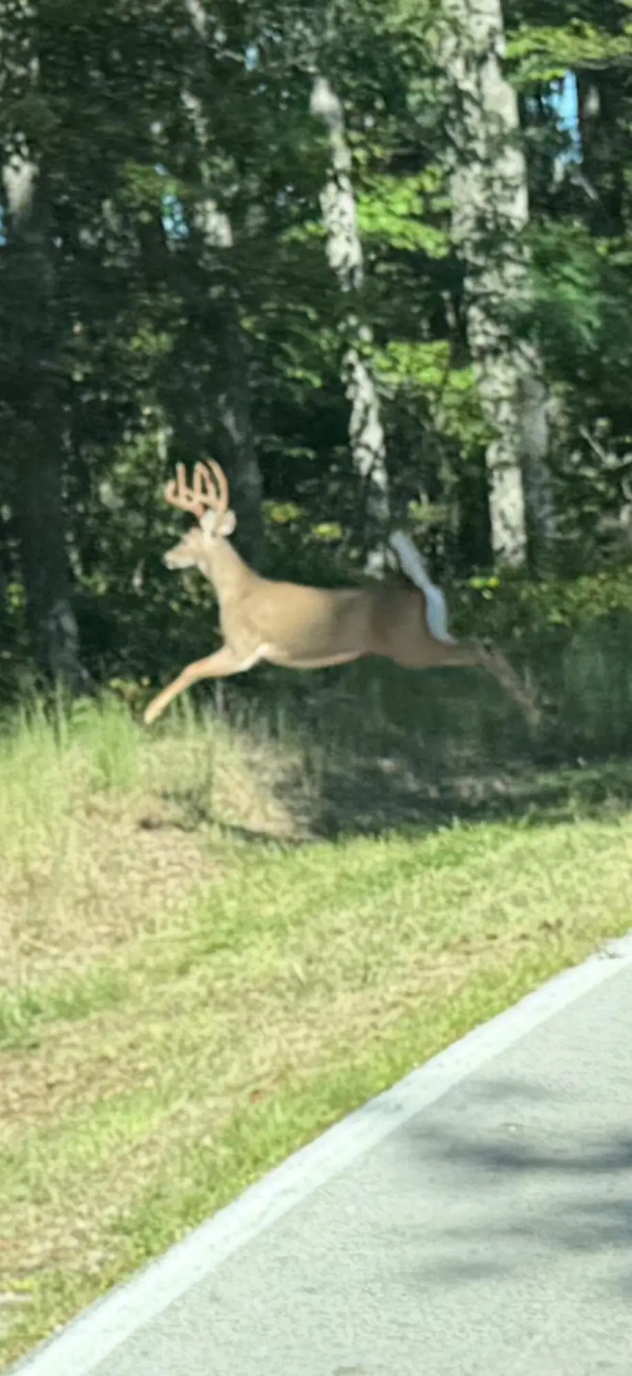 2570 Amos Ridge Road, Frenchburg, KY 40322 - #1