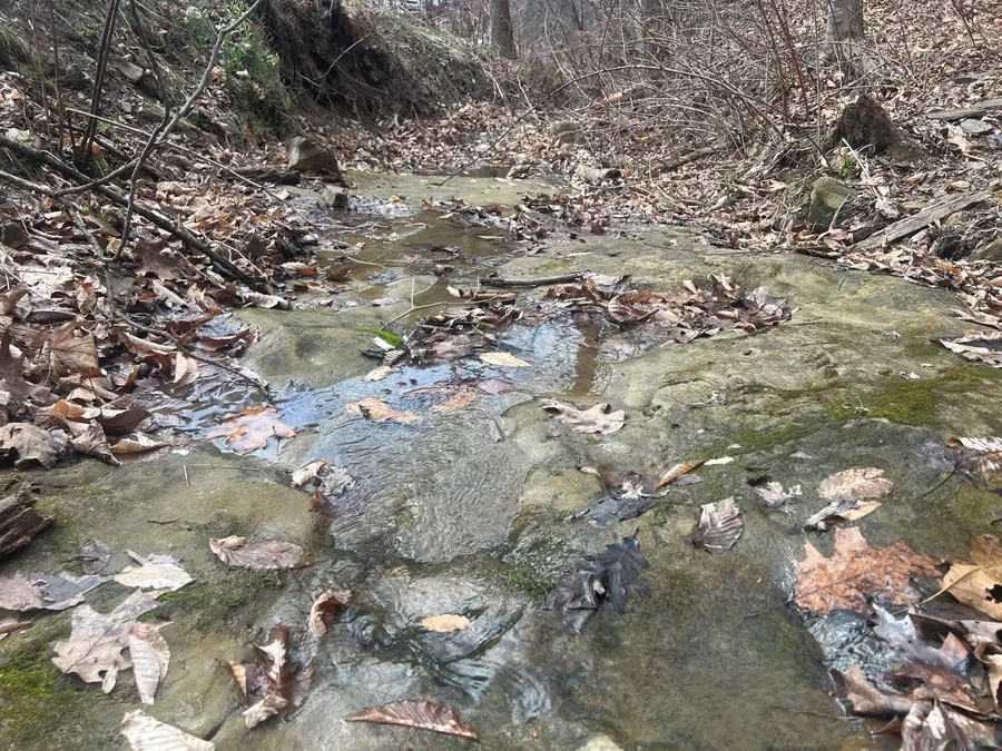 1470 Hopkins Fork, Pikeville, KY 41501 - #2