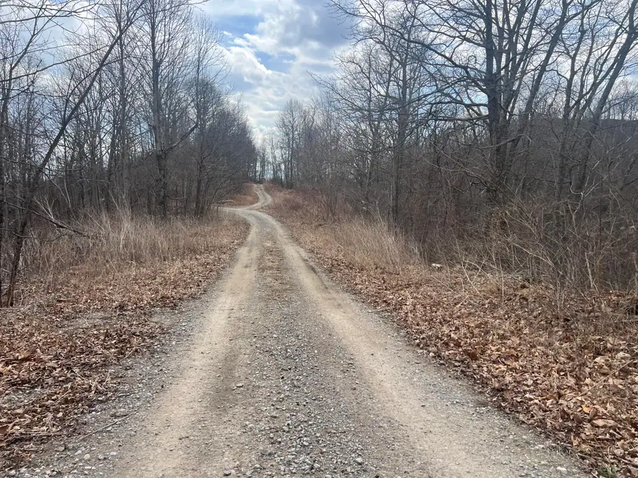 1470 Hopkins Fork, Pikeville, KY 41501 - #3