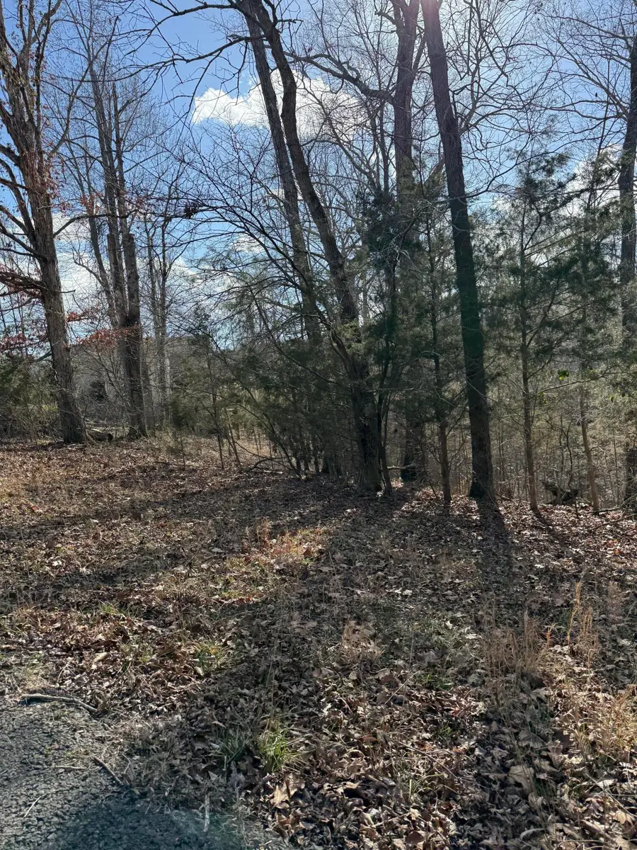 14 Lawless Court, Jamestown, KY 42629 - #3