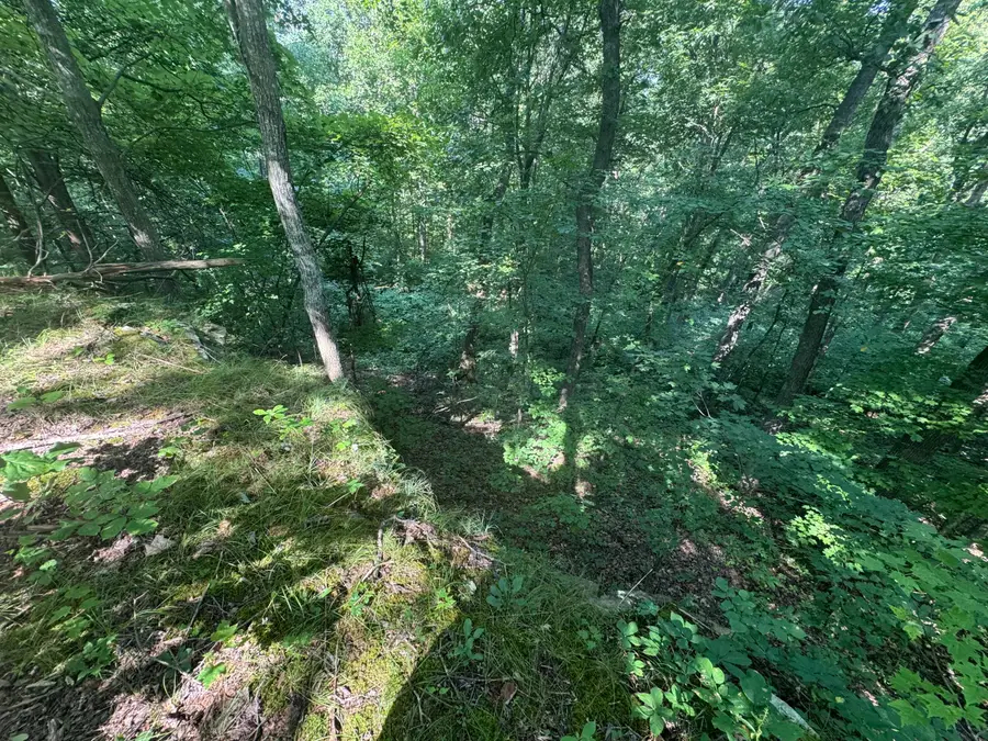 0 State Hwy 1050, Jeffersonville, KY 40337 - #2