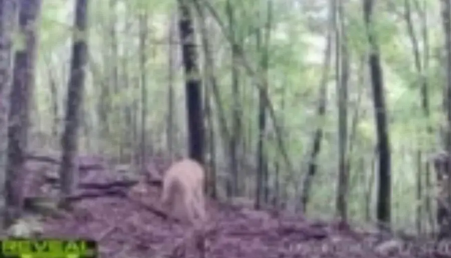 670 Curt Road, Jackson, KY 41339 - #2