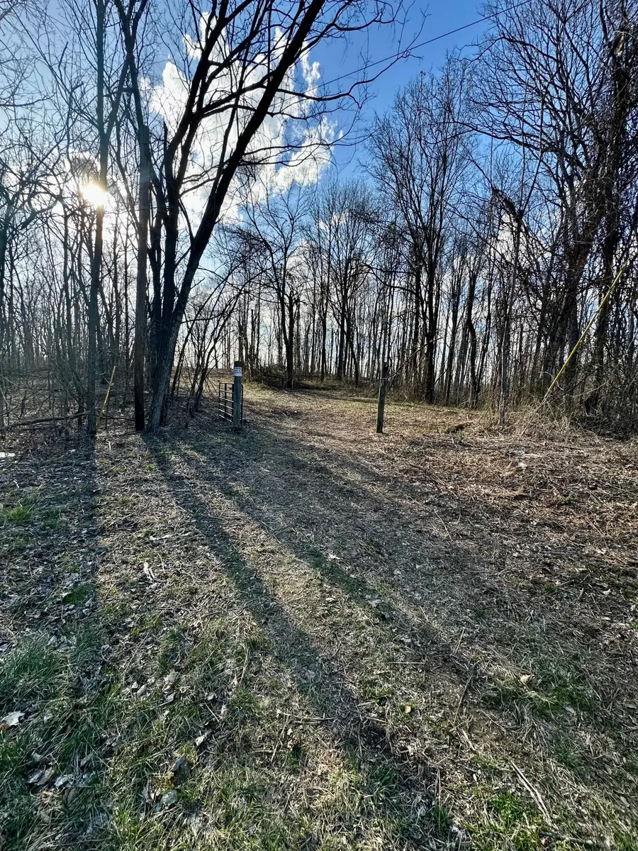 4 Malone Ridge Road #4, Albany, KY 42602 - #2