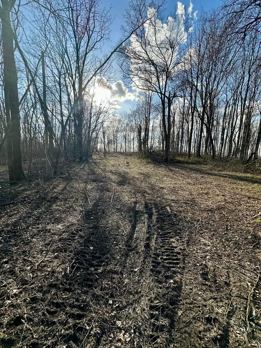 4 Malone Ridge Road #4, Albany, KY 42602 - #3