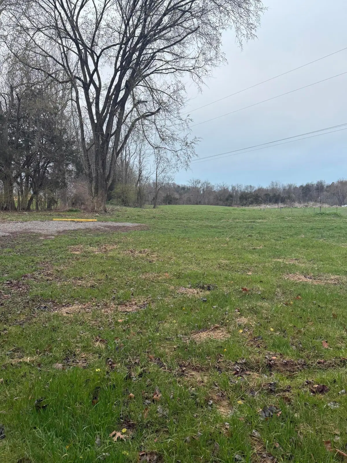 1735 Clifton Road, Danville, KY 40422 - #1