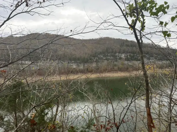 Tract 14 Buck Tail Drive, Burnside, KY 42519