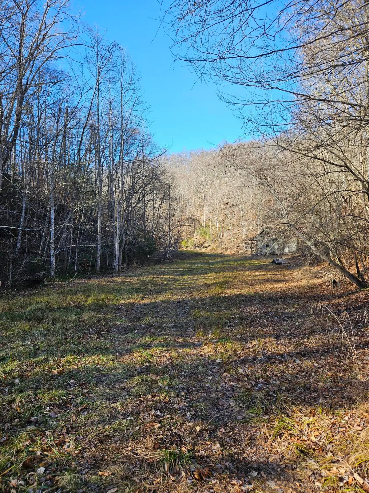 0 Lick Fork Road, Sandy Hook, KY 41171 - #1
