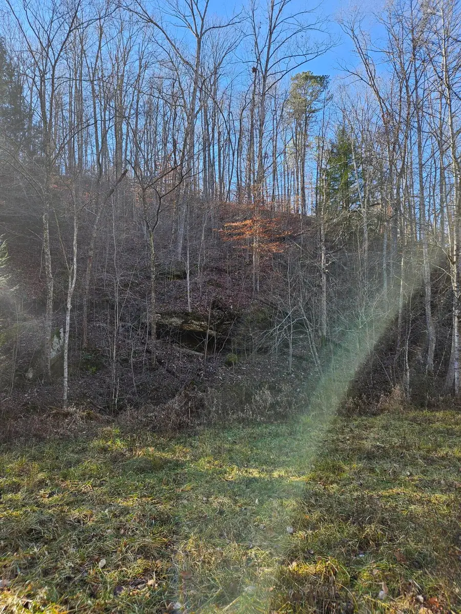 0 Lick Fork Road, Sandy Hook, KY 41171 - #2