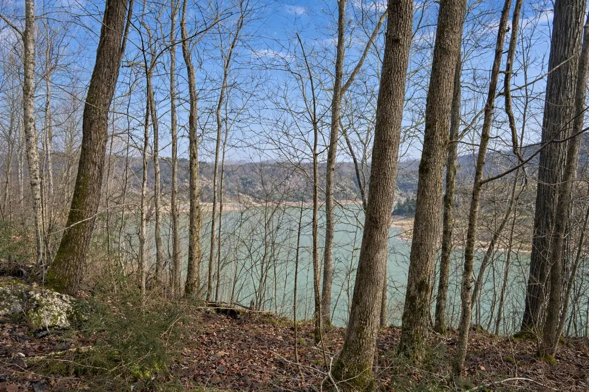 Lot 1 Lower Turkey Creek Road, Monticello, KY 42633 - #1