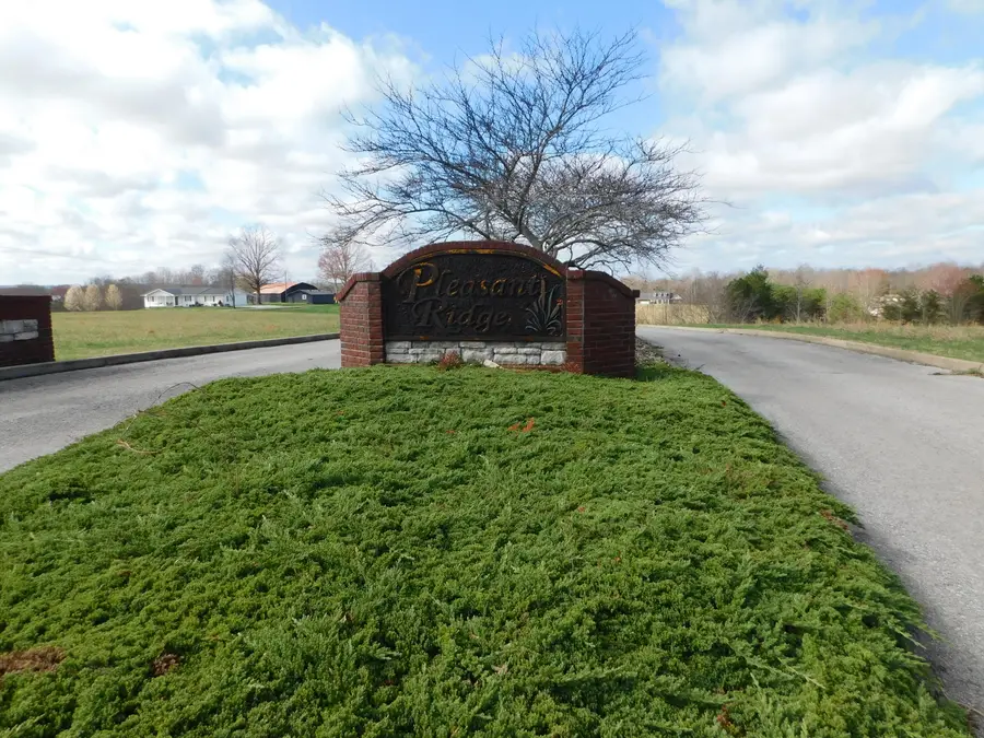 260 Pleasant Ridge Road, Strunk, KY 42649 - #3