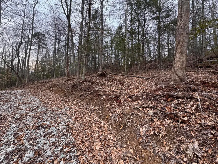 55 Low Ridge Road, Campton, KY 41301 - #2