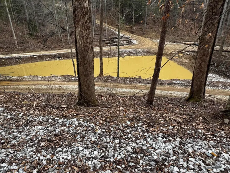 55 Low Ridge Road, Campton, KY 41301 - #3