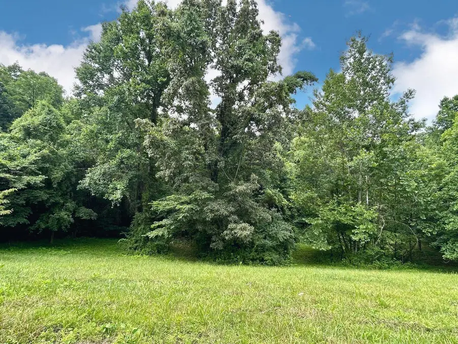 700 Beechwood Drive, Nancy, KY 42544 - #2