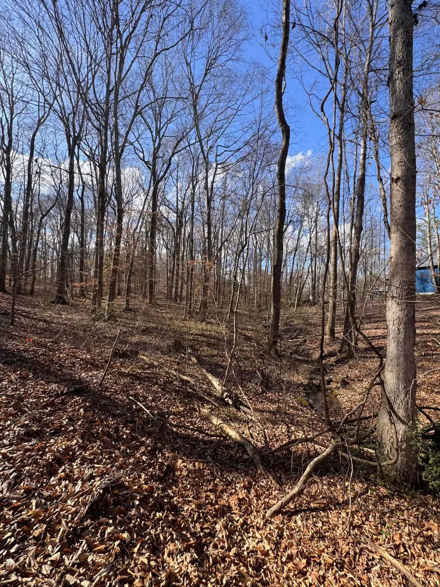 26 Arrowhead Lane, Jamestown, KY 42629 - #3