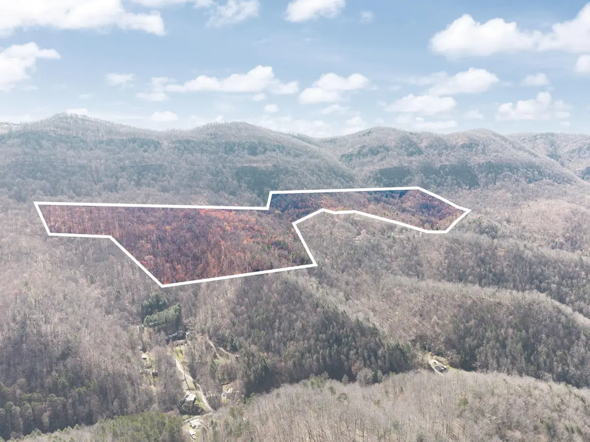 790 Dinah Blair Hollow Road, Whitesburg, KY 41858 - #1