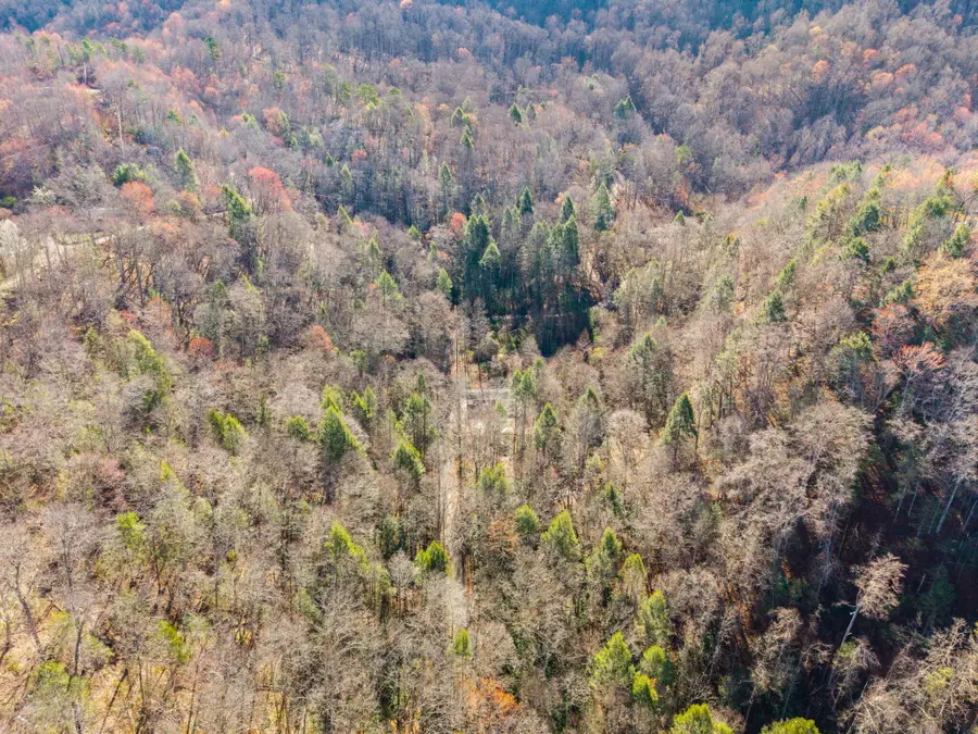 790 Dinah Blair Hollow Road, Whitesburg, KY 41858 - #3