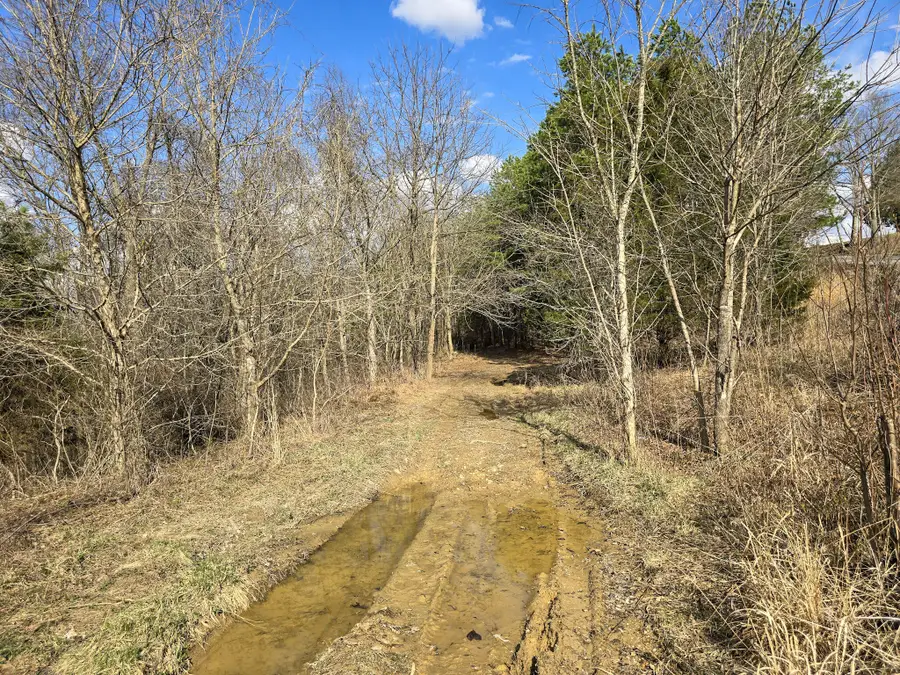 Tract 2 and 3 Maple Grove Road, Orlando, KY 40460 - #3