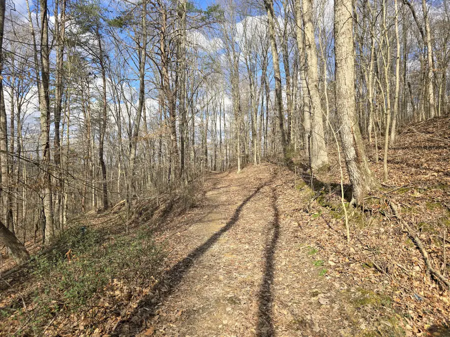 Tract 2 Maple Grove Road, Orlando, KY 40460 - #3