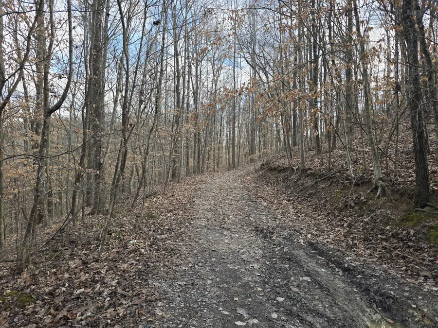 Tract 3 Maple Grove Road, Orlando, KY 40460 - #2