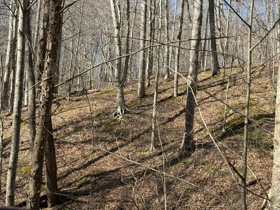 4XXX Gum Lick Road, Liberty, KY 42539 - #3