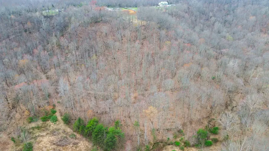 1450 Simpson Road, Crab Orchard, KY 40419 - #3