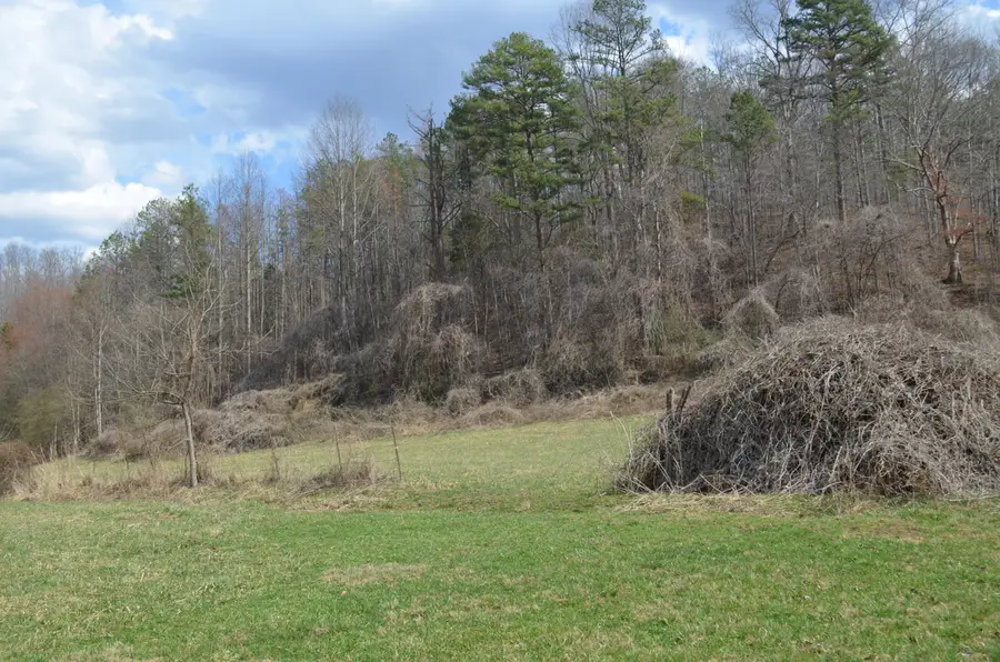 999-1640 Muncy Fork Road, Manchester, KY 40962 - #3