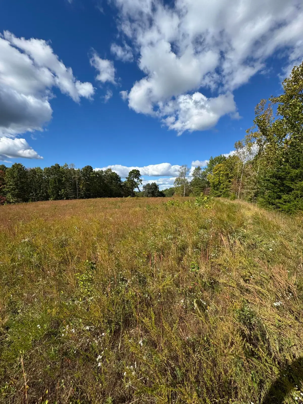 001 Kentucky 770, Corbin, KY 40701 - #1