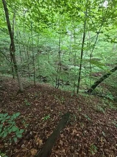 0 Beechmont Road, Morehead, KY 40351 - #3