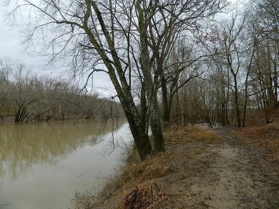 150 Brown Ridge Road, Irvine, KY 40336 - #2