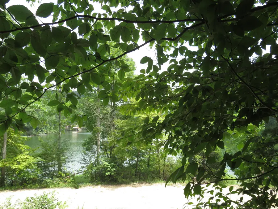 0000 Chaney Ridge Road, London, KY 40741 - #3