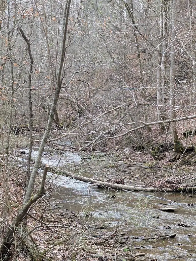 456 Arnetts Fork Road, Big Creek, KY 40914 - #2